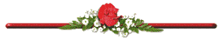 Rose 1